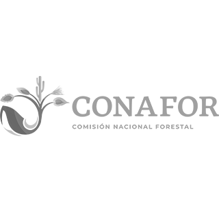 Conafor